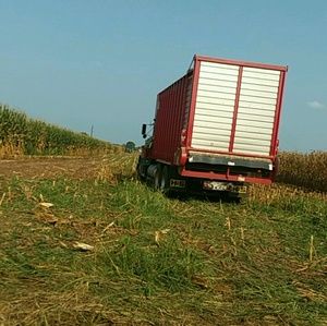 Meet your Posher, Kylie